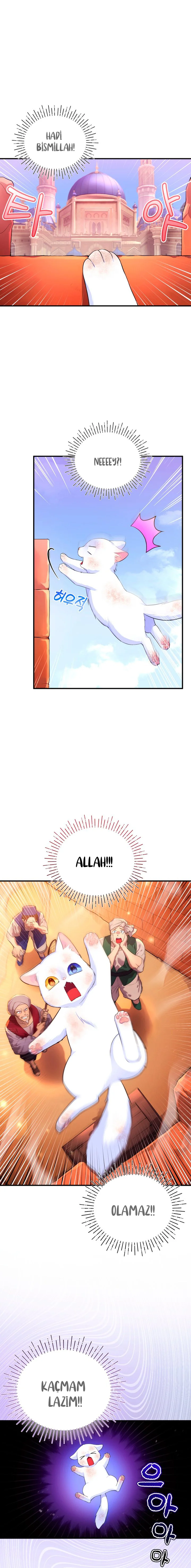 Sultan’ın Değerli Kedisi Oldum – Bölüm 2 page 1