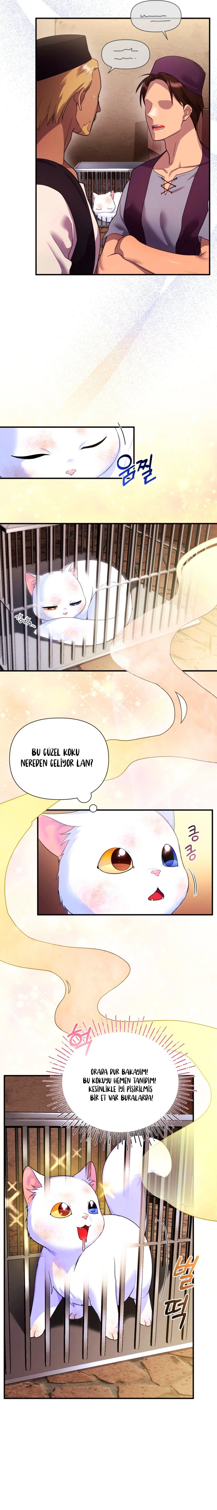 Sultan’ın Değerli Kedisi Oldum – Bölüm 2 page 11