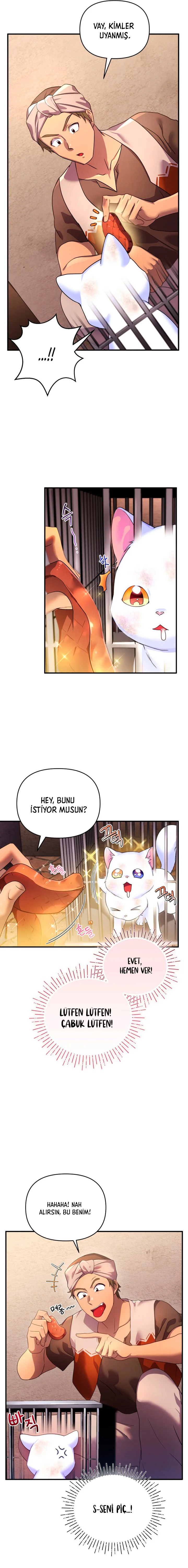 Sultan’ın Değerli Kedisi Oldum – Bölüm 2 page 12