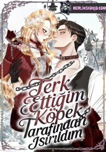 Terk Ettiğim Köpek Tarafından Isırıldım