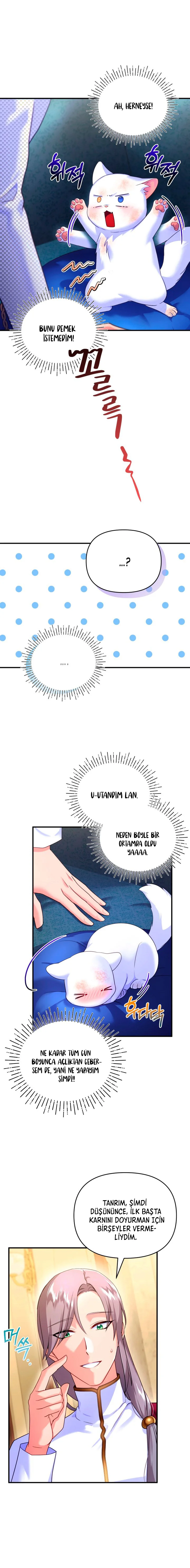 Sultan’ın Değerli Kedisi Oldum – Bölüm 3 page 13
