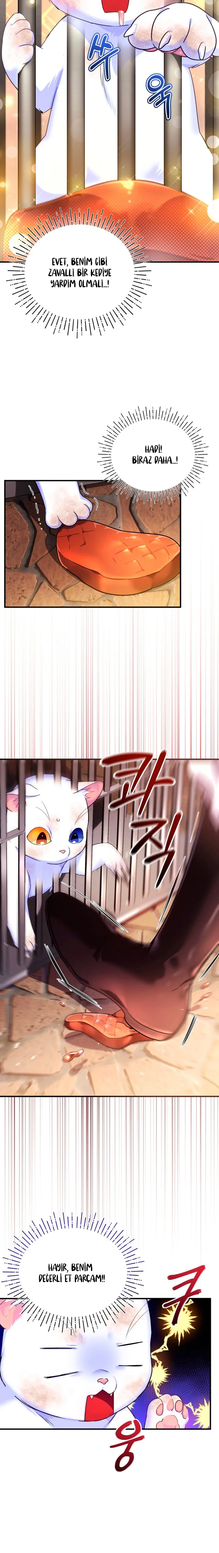 Sultan’ın Değerli Kedisi Oldum – Bölüm 2 page 14