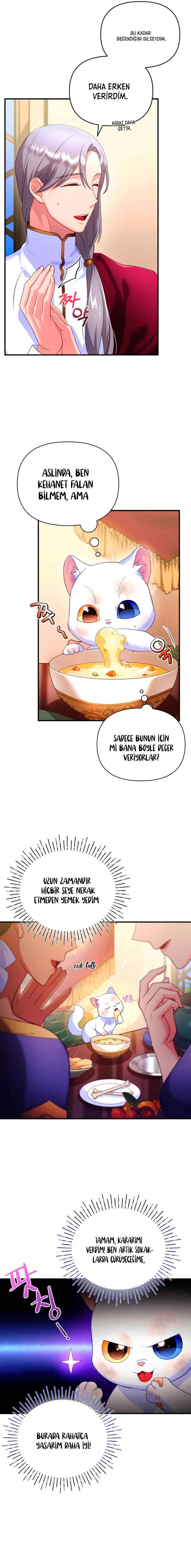 Sultan’ın Değerli Kedisi Oldum – Bölüm 3 page 15