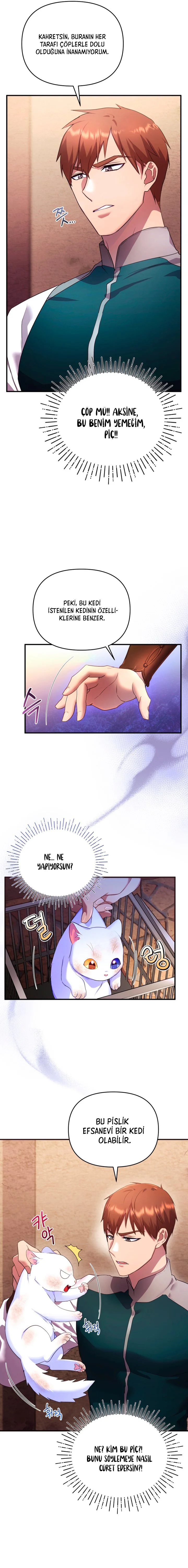 Sultan’ın Değerli Kedisi Oldum – Bölüm 2 page 15