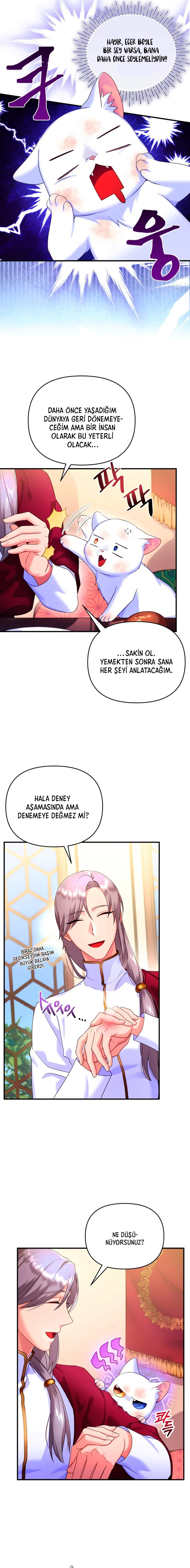 Sultan’ın Değerli Kedisi Oldum – Bölüm 3 page 17