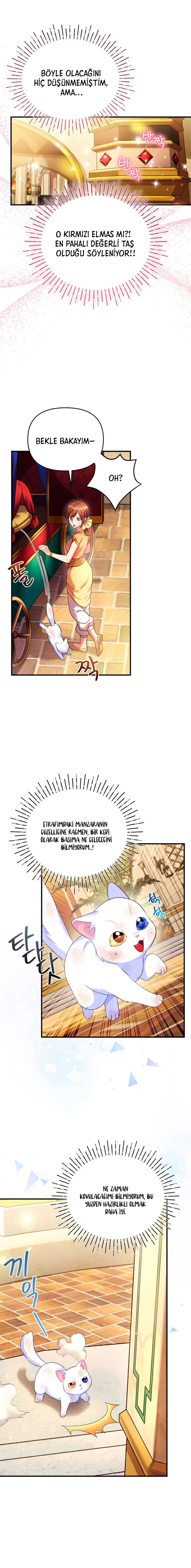 Sultan’ın Değerli Kedisi Oldum – Bölüm 2 page 19