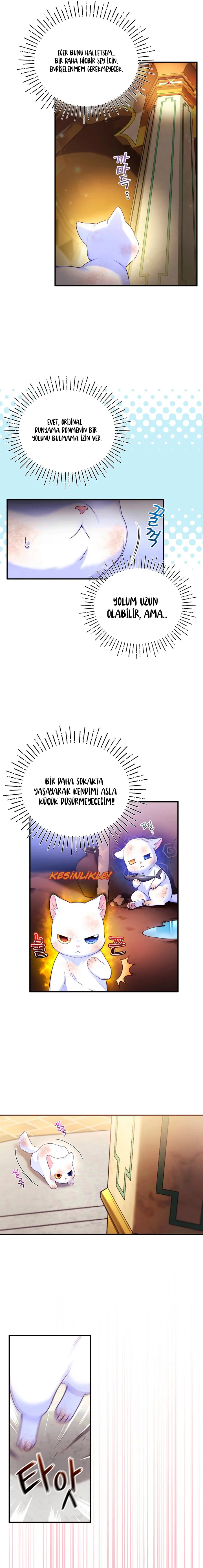 Sultan’ın Değerli Kedisi Oldum – Bölüm 2 page 20