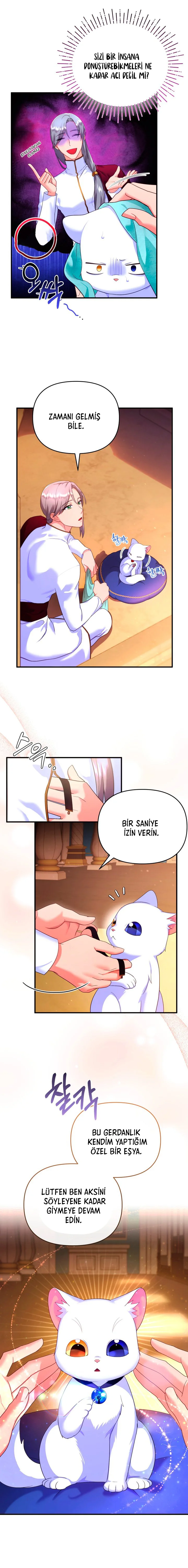 Sultan’ın Değerli Kedisi Oldum – Bölüm 3 page 20