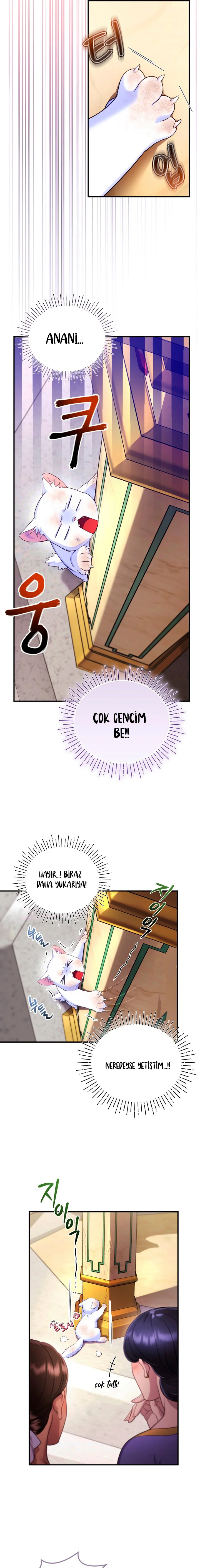 Sultan’ın Değerli Kedisi Oldum – Bölüm 2 page 21