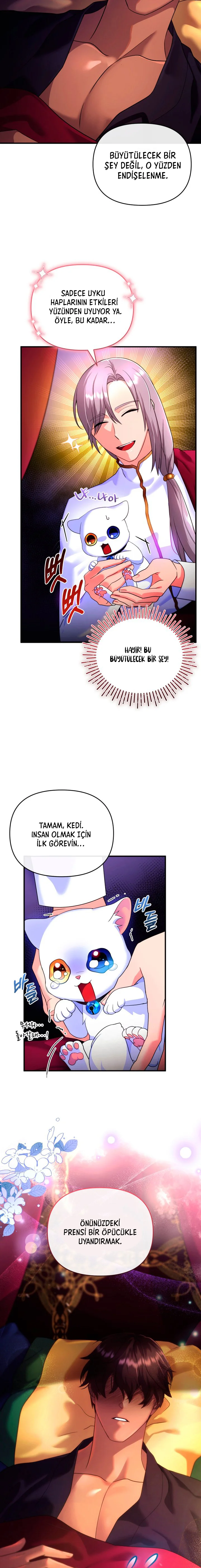 Sultan’ın Değerli Kedisi Oldum – Bölüm 3 page 24