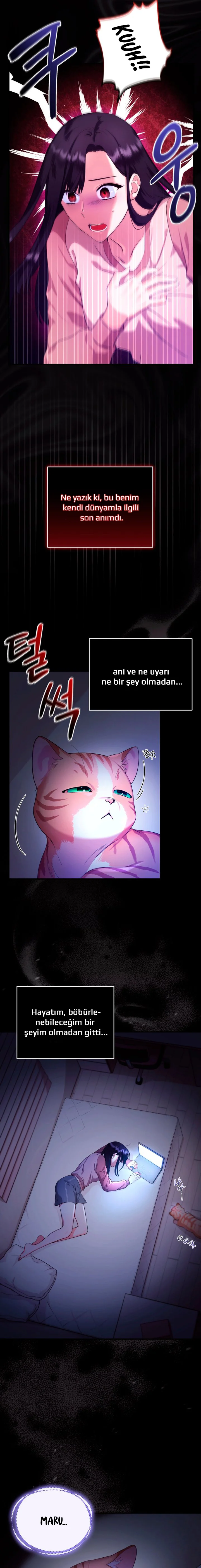 Sultan’ın Değerli Kedisi Oldum – Bölüm 2 page 5