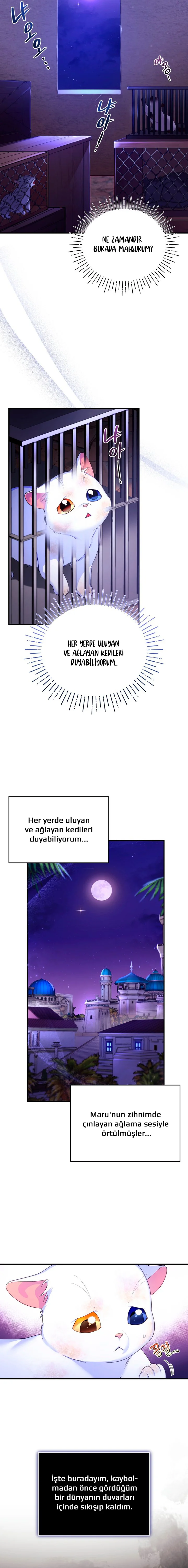 Sultan’ın Değerli Kedisi Oldum – Bölüm 2 page 7