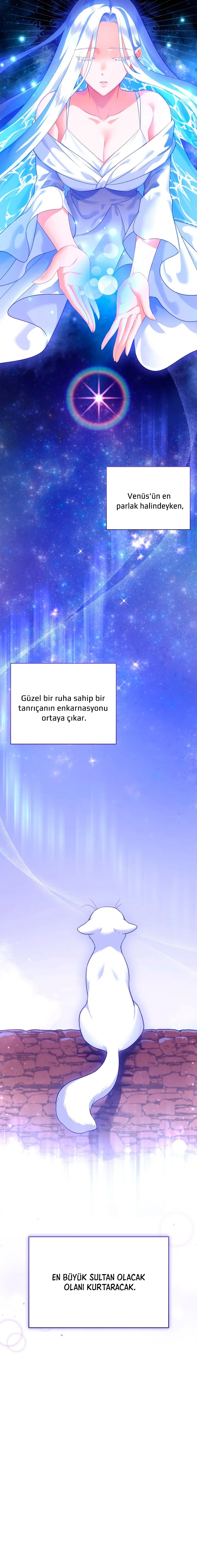 Sultan’ın Değerli Kedisi Oldum – Bölüm 3 page 7