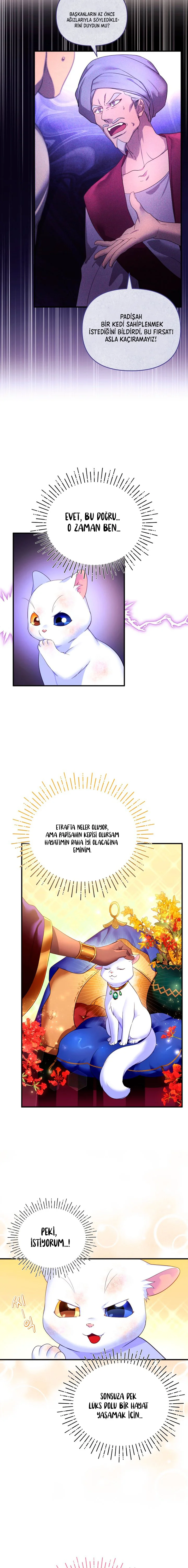 Sultan’ın Değerli Kedisi Oldum – Bölüm 2 page 9