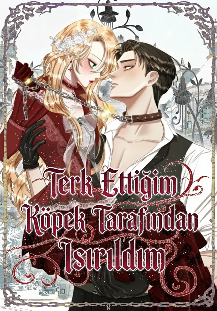 Terk Ettiğim Köpek Tarafından Isırıldım