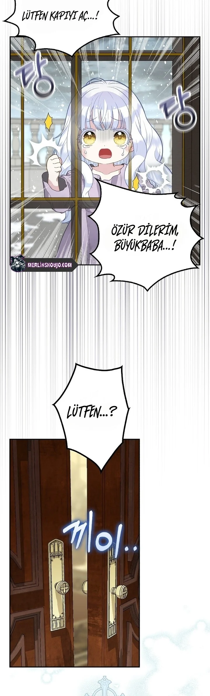 Siyah Leopar Ailesinin Kar Leoparı Yavrusu – Bölüm 1 page 16