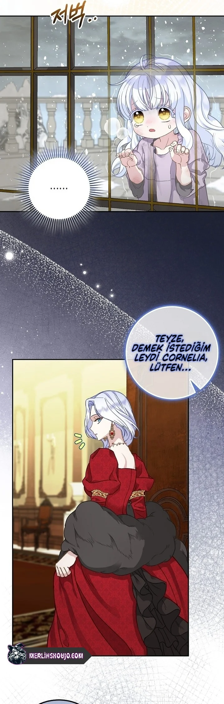 Siyah Leopar Ailesinin Kar Leoparı Yavrusu – Bölüm 1 page 21
