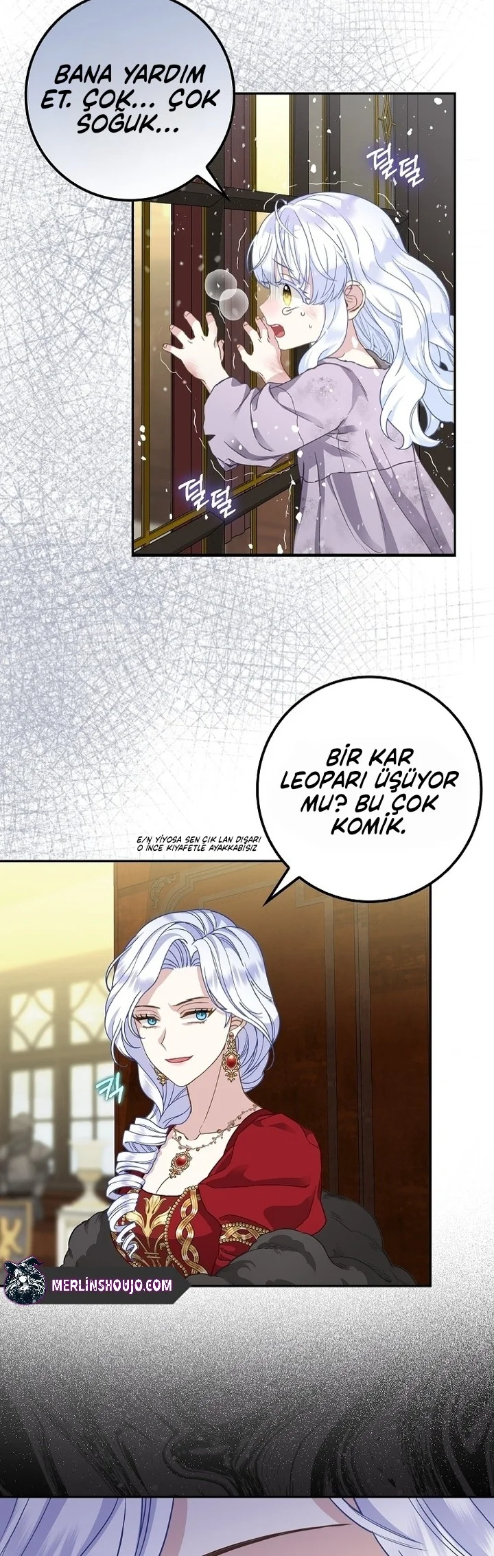 Siyah Leopar Ailesinin Kar Leoparı Yavrusu – Bölüm 1 page 22