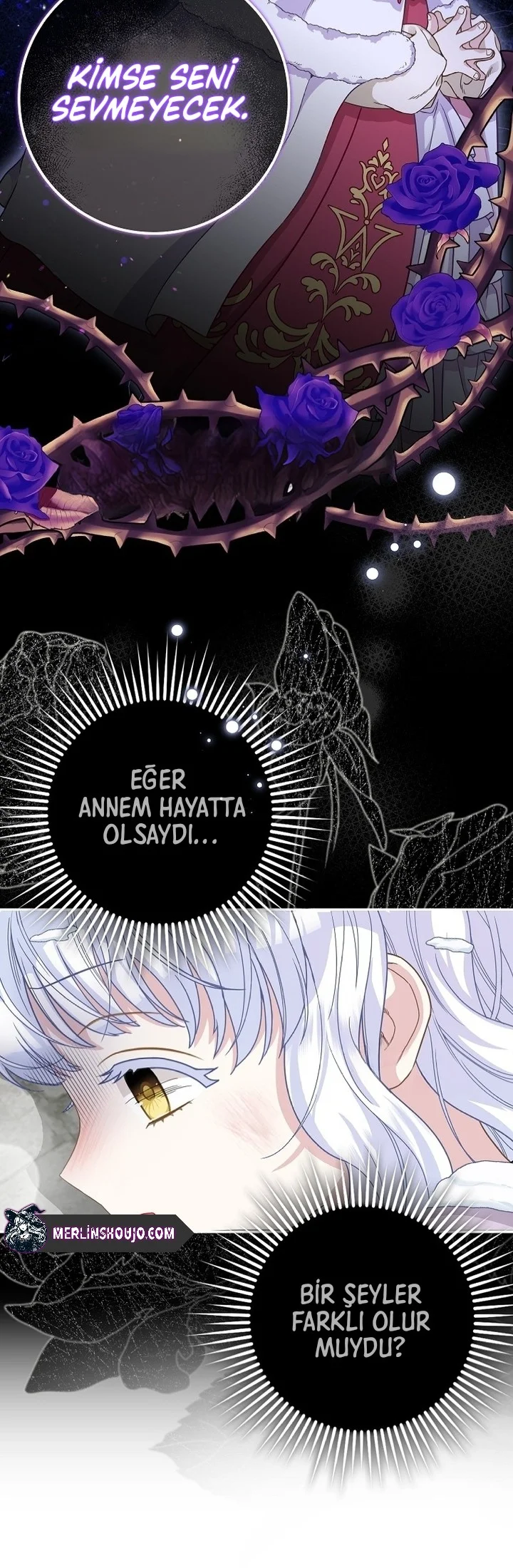Siyah Leopar Ailesinin Kar Leoparı Yavrusu – Bölüm 1 page 27
