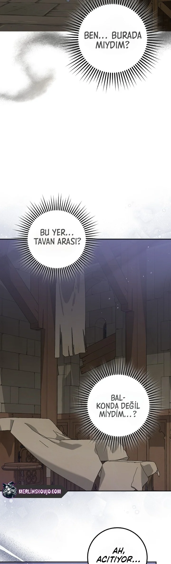 Siyah Leopar Ailesinin Kar Leoparı Yavrusu – Bölüm 1 page 32