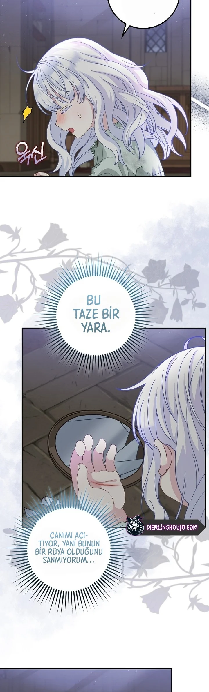 Siyah Leopar Ailesinin Kar Leoparı Yavrusu – Bölüm 1 page 33