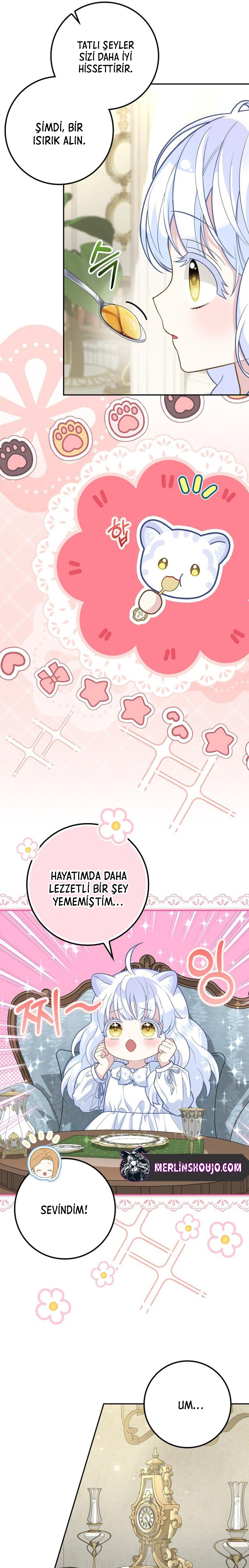 Siyah Leopar Ailesinin Kar Leoparı Yavrusu – 7. Bölüm page 16